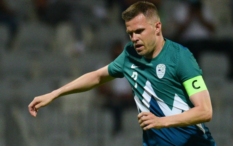 josip ilicic 21 mm.JPG