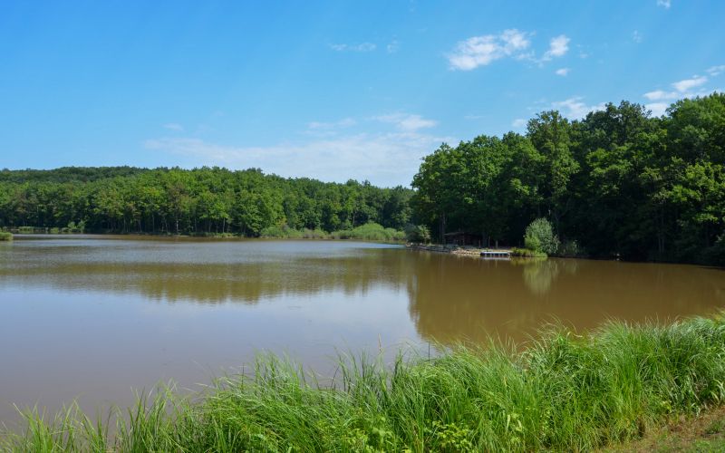 Bukovniško jezero