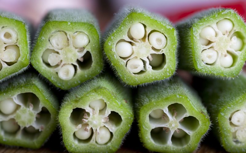 okra, sredica okre.jpg