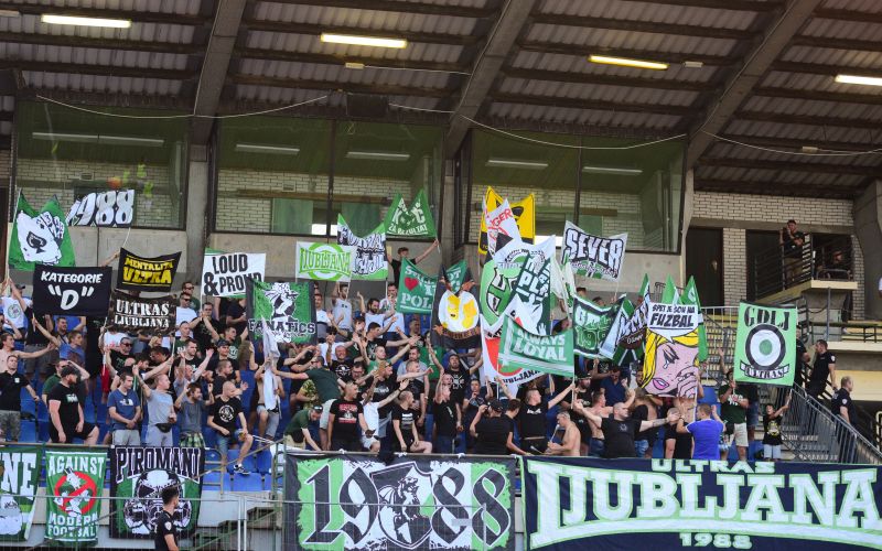 green dragons.JPG