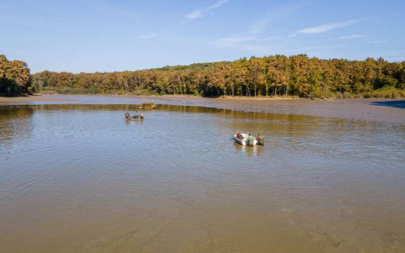 bukovniško-jezero, jezero, dron