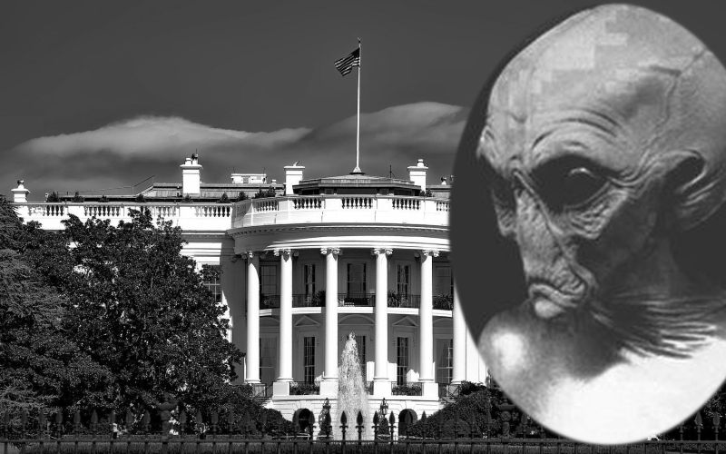 Bela hiša je registrirala dve vesoljski spletni domeni.