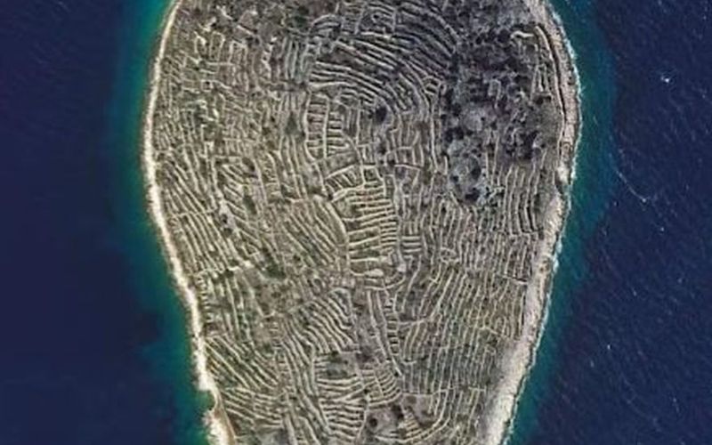baljenac, bavljenac, jadransko-morje, otok