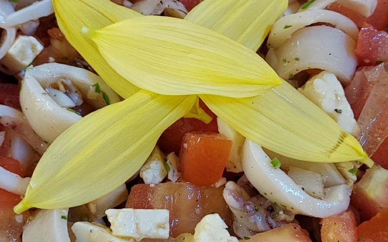 SOLATA Z MORSKIMI SADEŽI.jpg