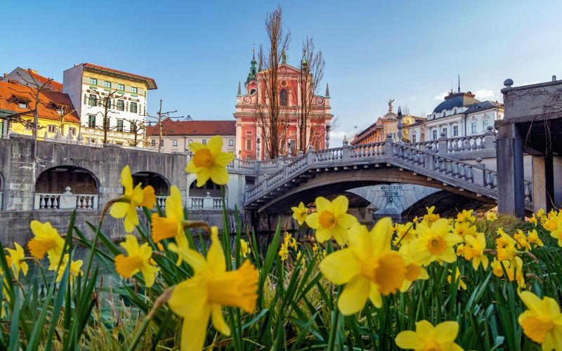 pomlad, tromostovje, ljubljana