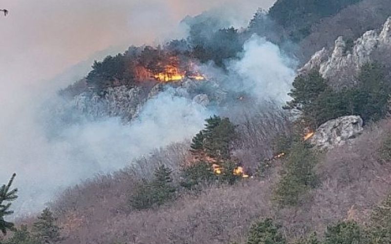 požar, gora, nad ajdovščino.jpg