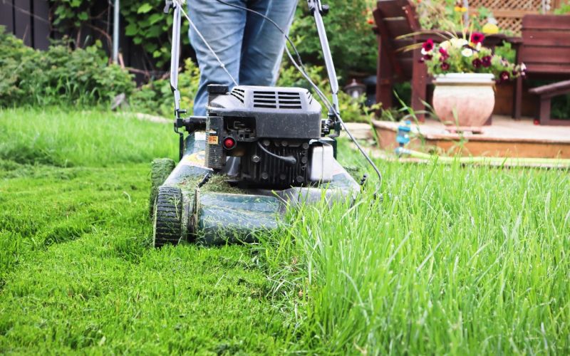 kosilnica, košnja trave.jpg