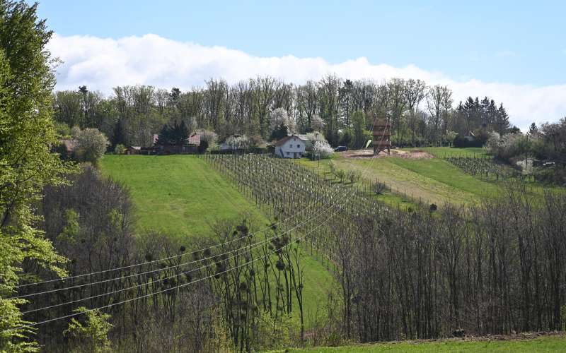 zipline-vinarium, vinarium, lendava, janez-magyar, cene-prevc