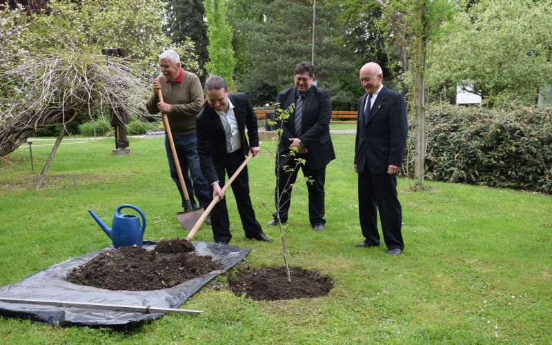 petanjci, vrt-spominov-in-tovarištva, kajuh, ustanova-dr.-šiftarjeva-fundacija