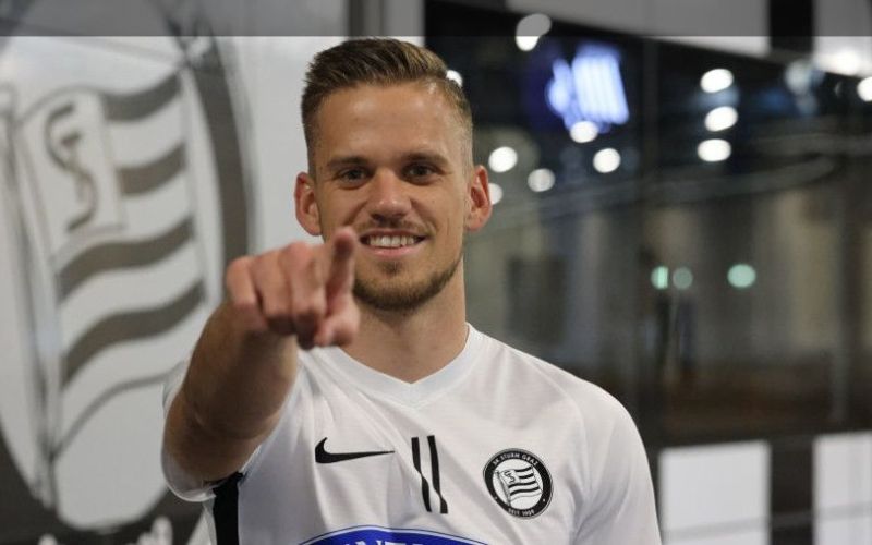sturm horvat.jpg