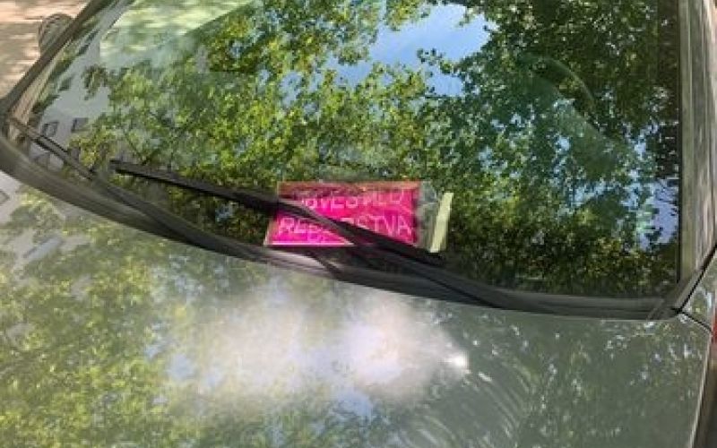 borova-vas, parkiranje, redarstvo