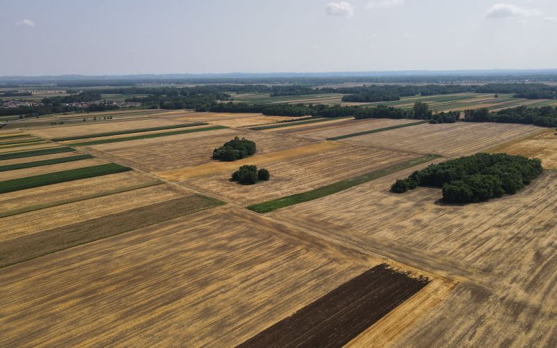 ilcb, lipovci, logistični-center, občina-beltinci, luka-koper