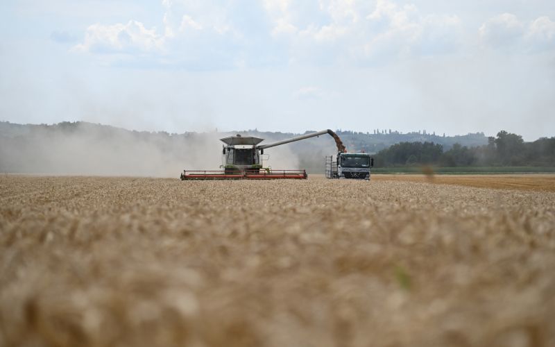 žetev, kombajn, traktor, njive, pšenica, zrna, poljedeljstvo