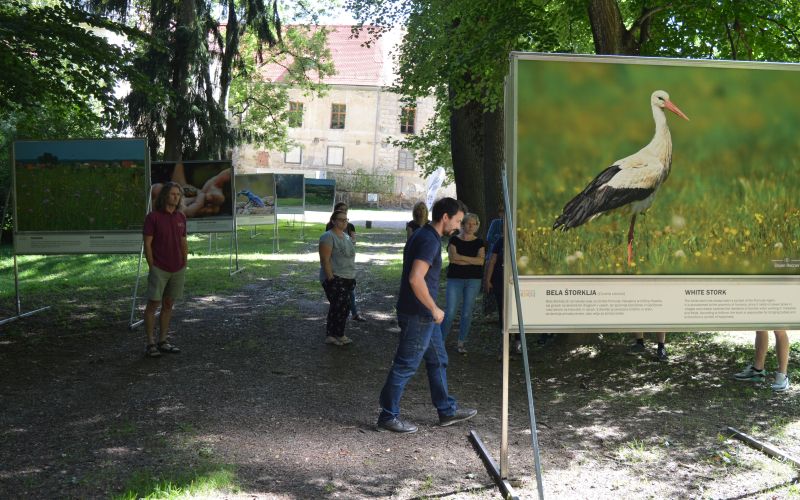 goričko, goričko.-znate-ka?-lejpo-je!, kp-goričko, narava, rastlinstvo, živalstvo