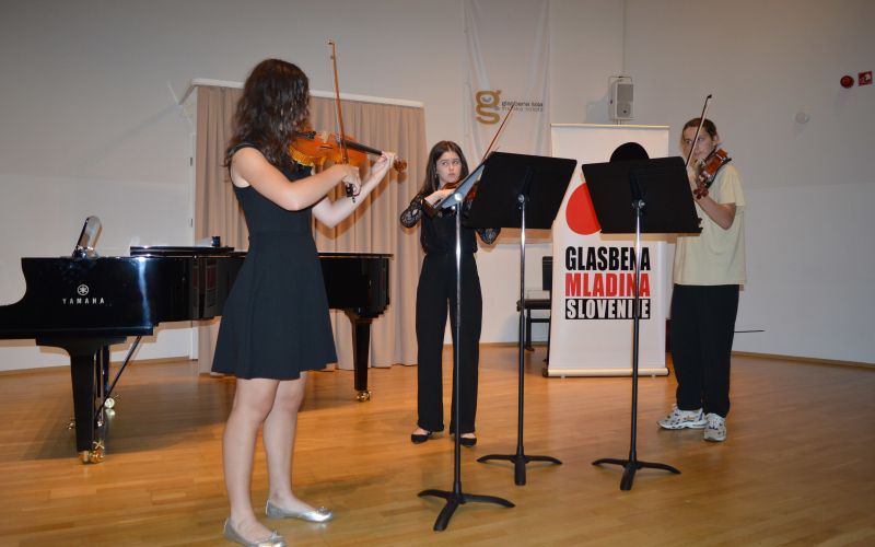 glasbena-mladina-slovenije, koncert, poletni-tabor, glasbeniki