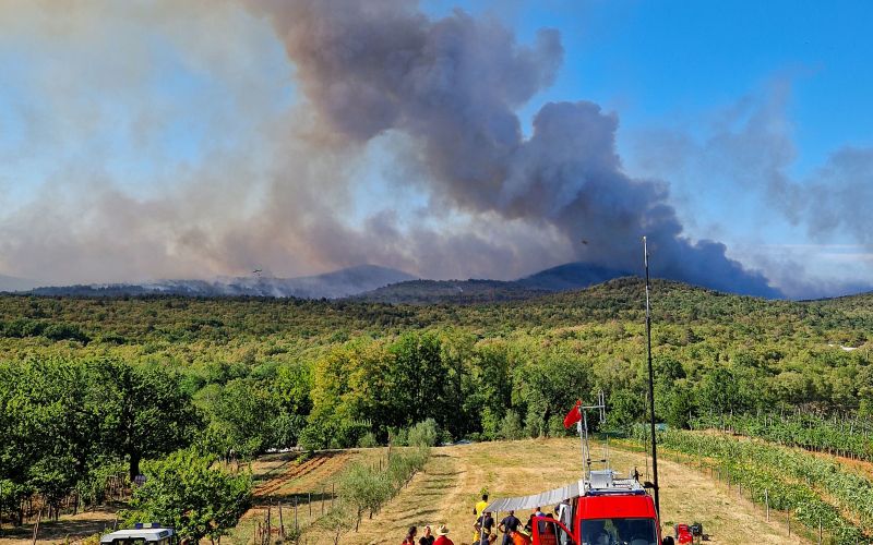 požar, kras, renški-vrh, temenica