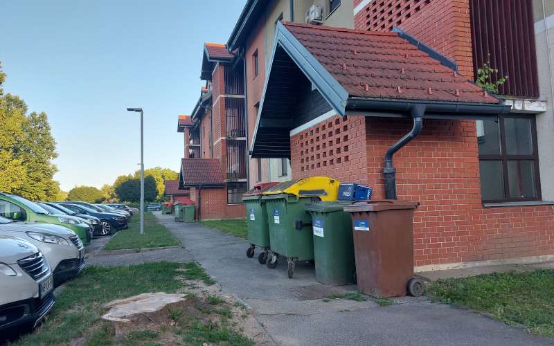 posek, drevesa, gornja radgona