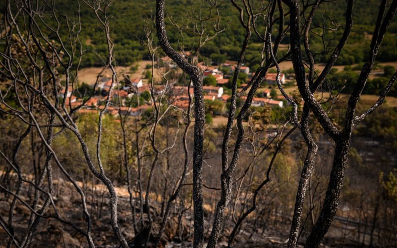 brestovica-pri-komnu, požar