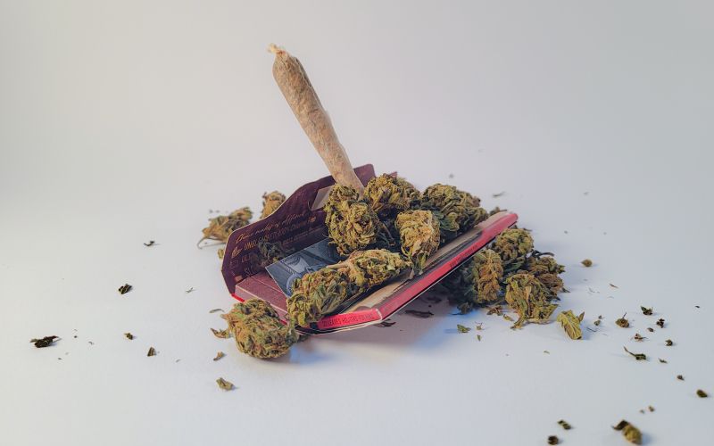 droga, kokain, cocain, canabis, marihuana, lepilo