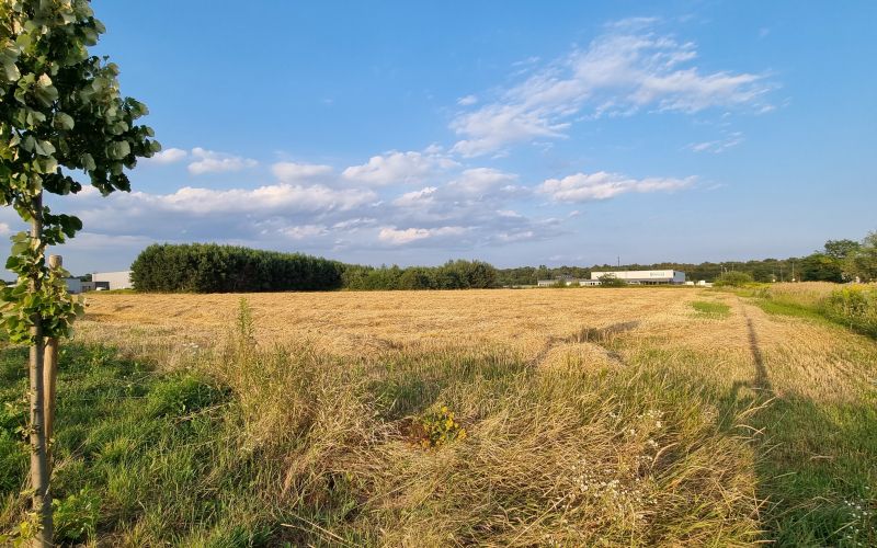 soic, lesnina