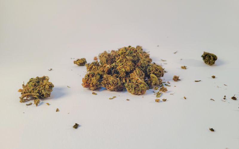 droga, kokain, cocain, canabis, marihuana, lepilo