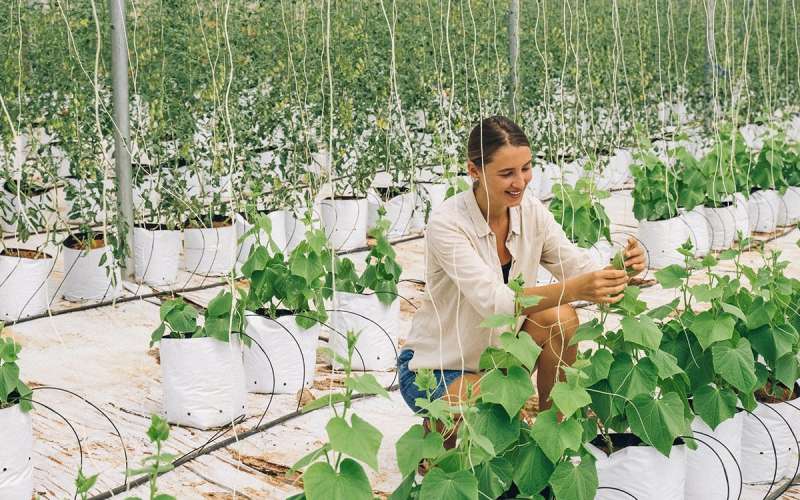 Rural Innovation[23].jpg