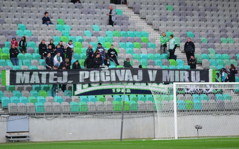 olimpija green dragons.JPG