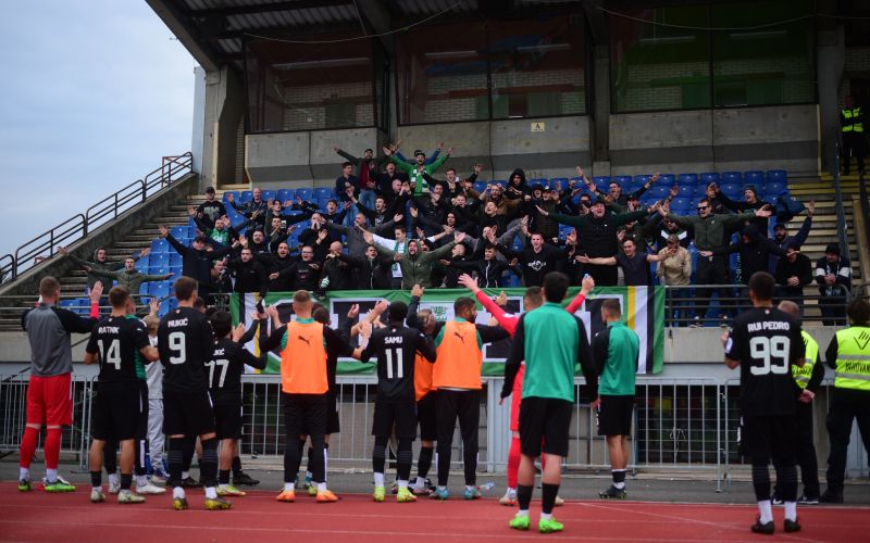 olimpija green dragons.JPG