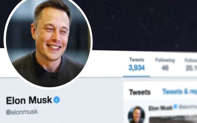 musk.jpg