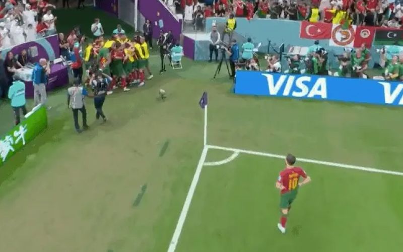 bernardo silva 2.jpg