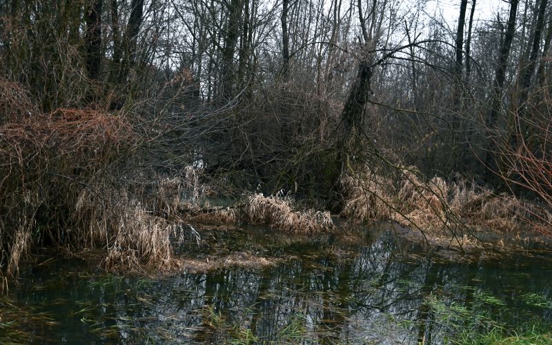 poplave, obilno-deževje, poplavljena-polja, sodišinci, poplavljeni-sodišinci