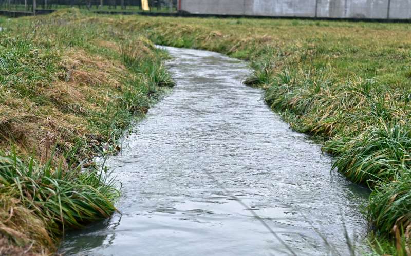 poplave, obilno-deževje, poplavljena-polja, sodišinci, poplavljeni-sodišinci