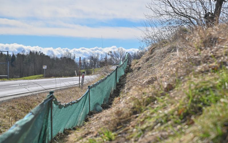 žabe, zaščitna-mreža, krajinski-park-goričko, ceste