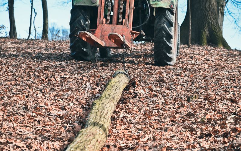 simbolična, spravilo-lesa, delo-v-gozdu, gozdarstvo