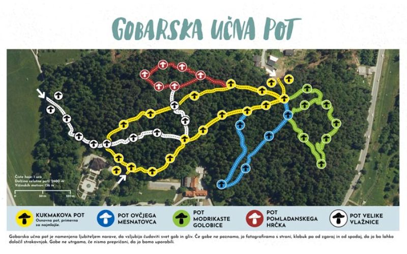 gobarska-ucna-pot