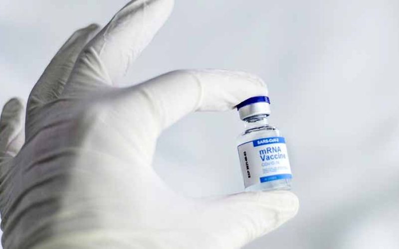 cepljenje-cepivo-covid-korona