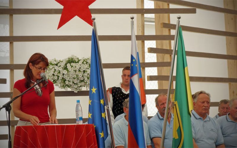 graska_gora_katic