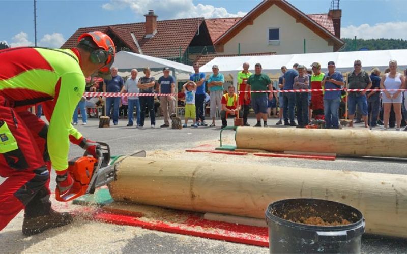 gozdarsko-tekmovanje-zage
