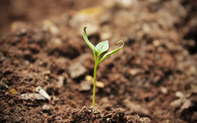 zemljina_premogovnik_analiza