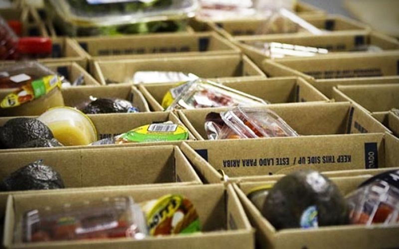 lions_donirana_hrana