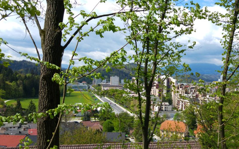 velenje_gorica_mesto