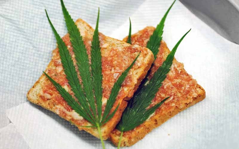 restavracija-z-jedmi-in-konoplje