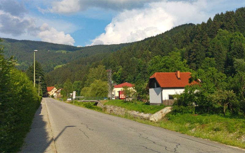 mislinja-gozdarska