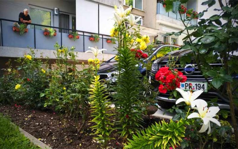 velenje-mesto-cvetja