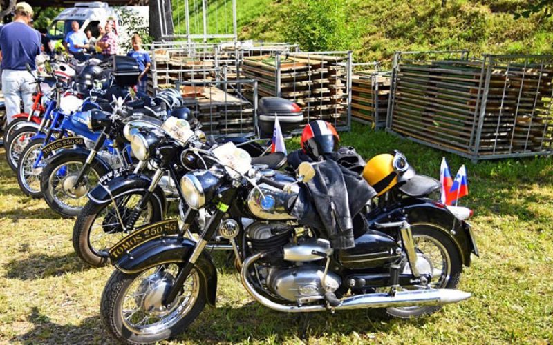 starodobniki-Gaj-(1)