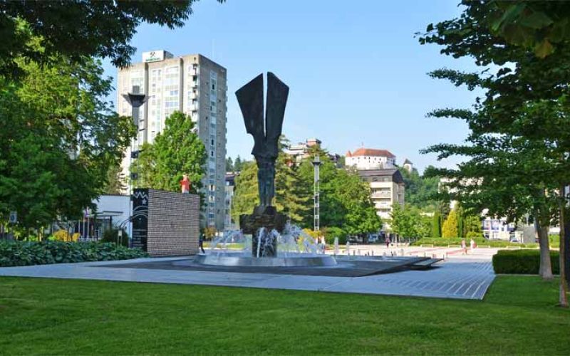 obnemele-puske-obcina-trg