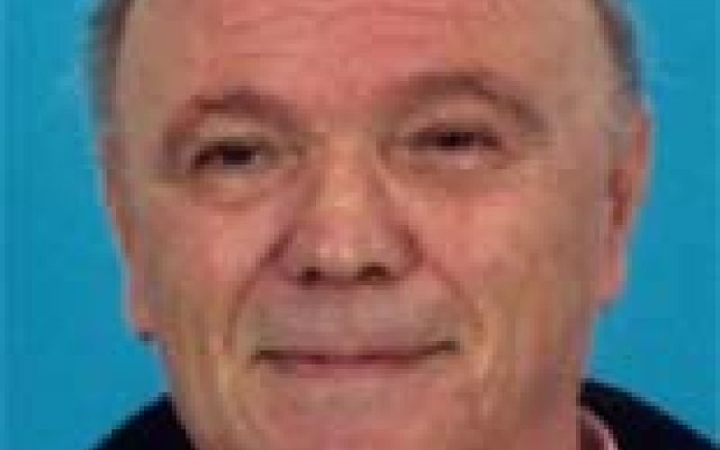 dragotin-herman-ostrovrsnik