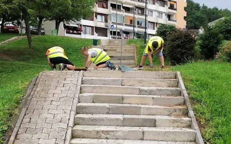 cisto-moje-velenje-dijasko-studentsko-delo2