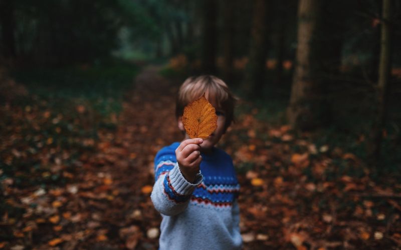 otrok-gozd-narava