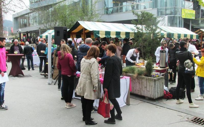 karierni-sejem-velenje